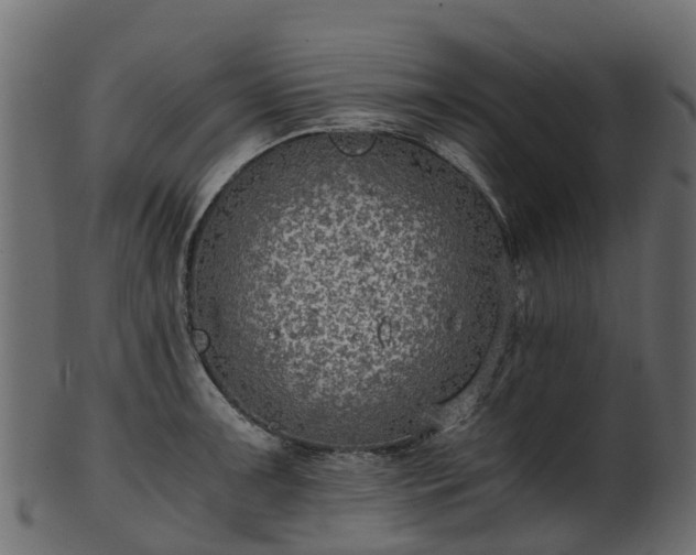 X0000101111091200807031734