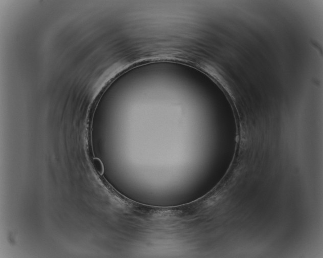 X0000101111093200807031734
