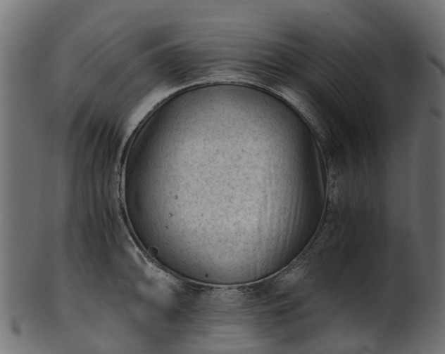 X0000101111094200807031733