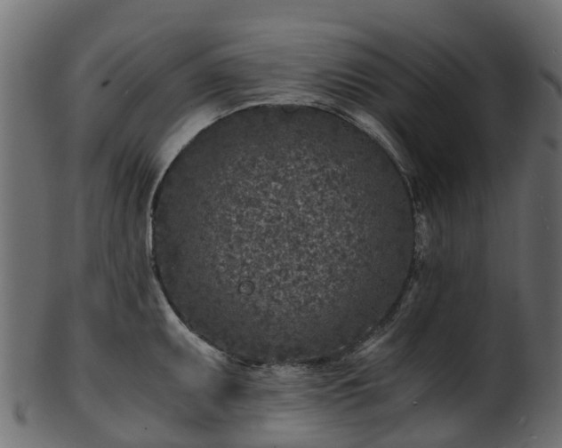 X0000101111095200807031733