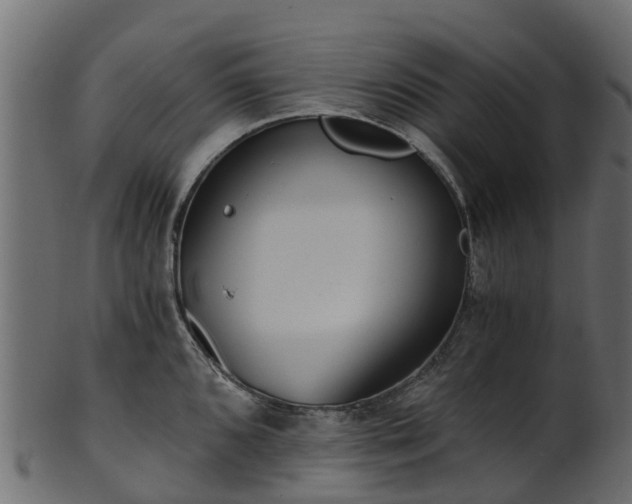X0000101111096200807031733