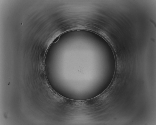 X0000101111097200807031733