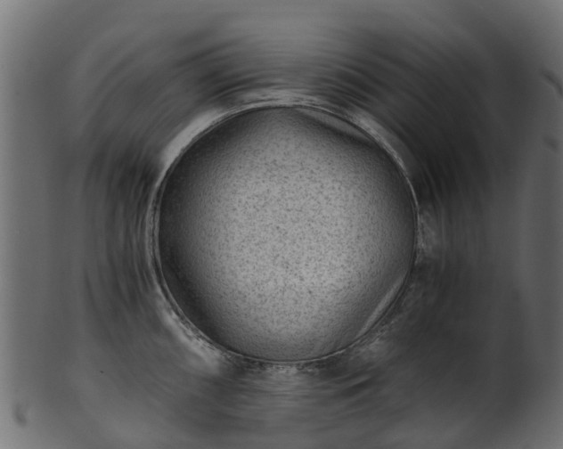 X0000101111098200807031733