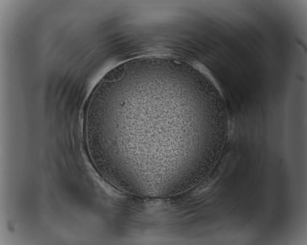 X0000101111099200807031733