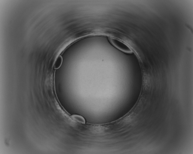 X0000101111100200807031733