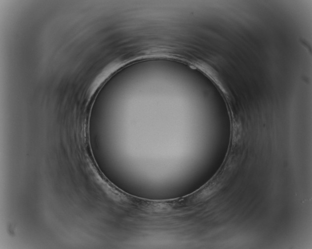 X0000101111101200807031733