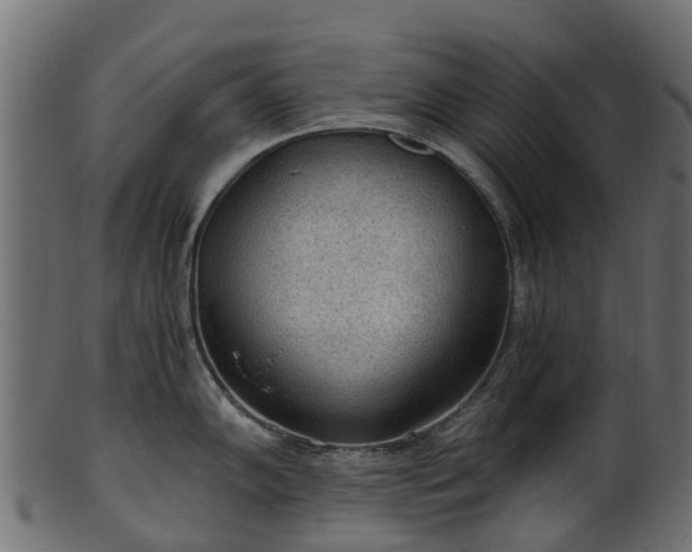 X0000101111102200807031733