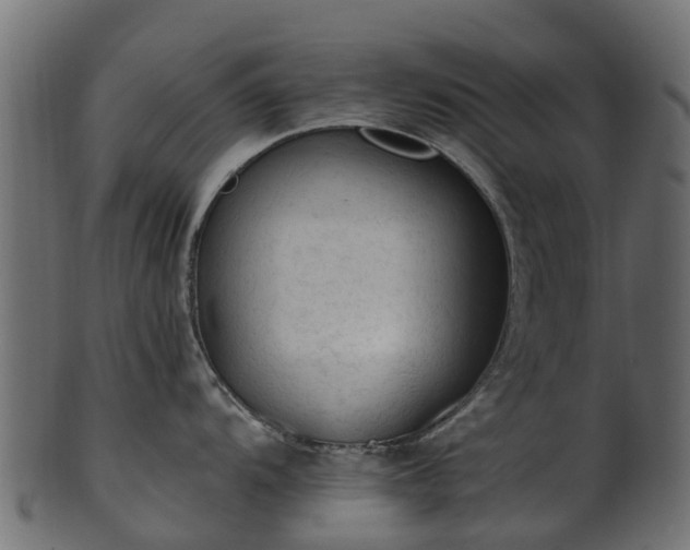 X0000101111104200807031733