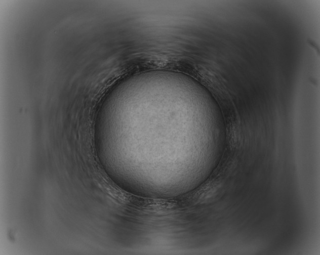 X0000101111105200807031733