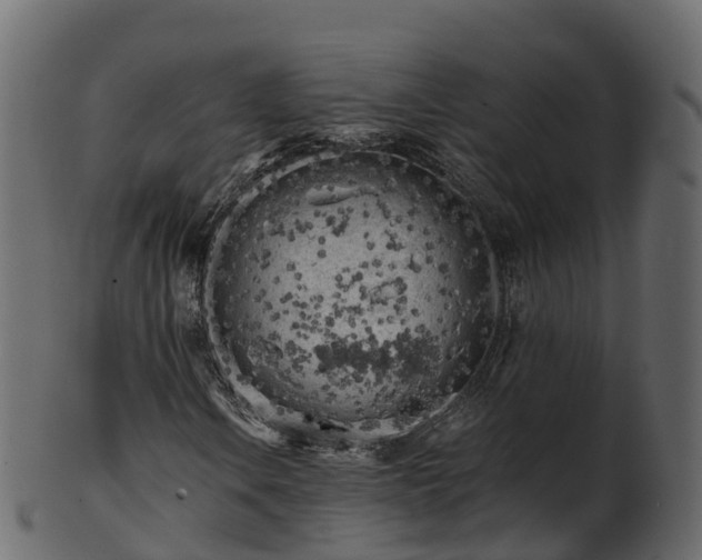 X0000101111106200807031733