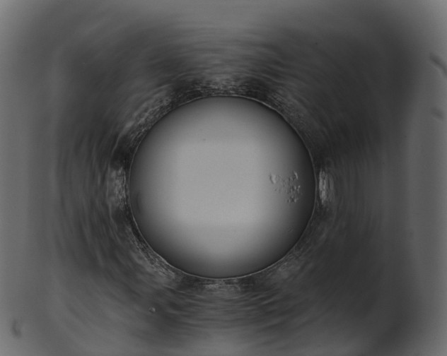 X0000101111107200807031733