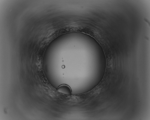 X0000101111109200807031733