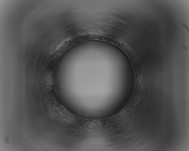 X0000101111110200807031733