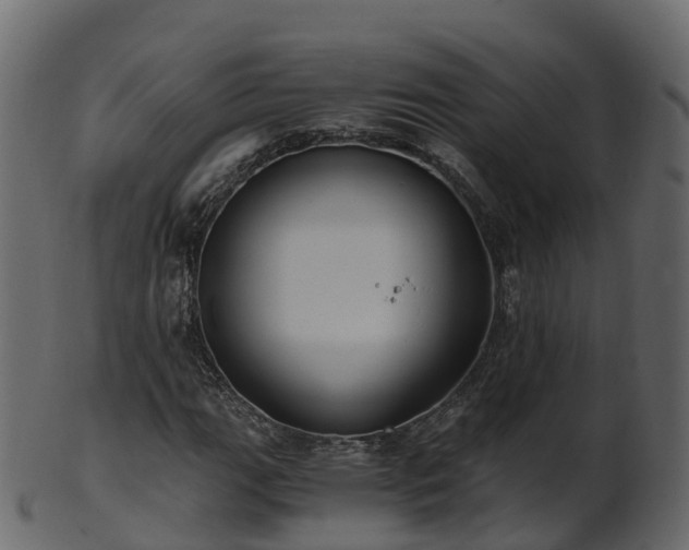X0000101111111200807031733