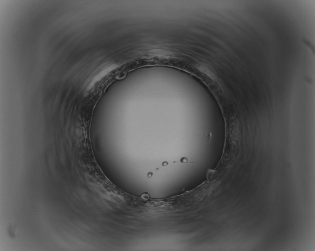X0000101111112200807031733