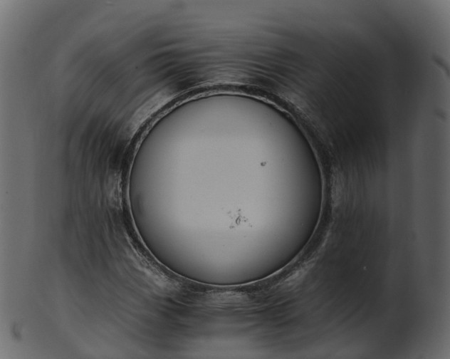 X0000101111113200807031733