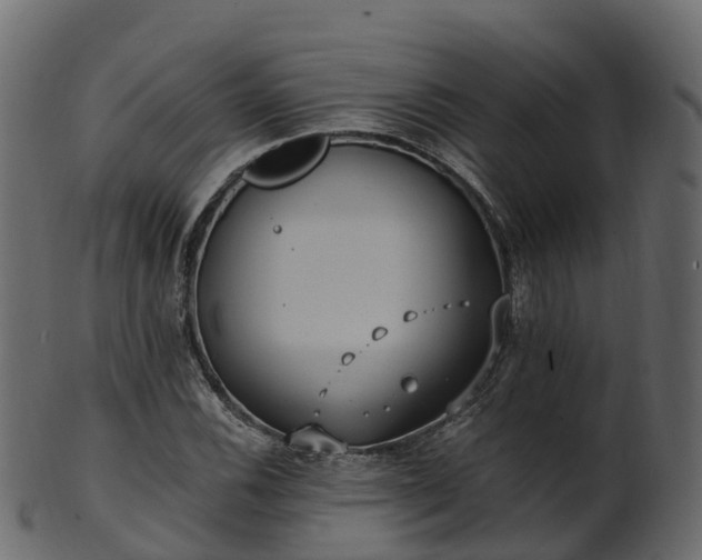 X0000101111116200807031733