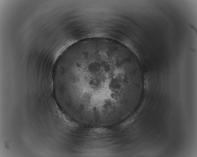 X0000101111117200807031733
