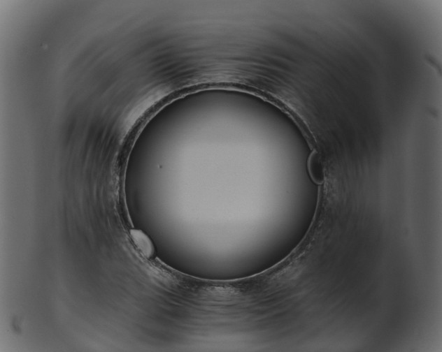 X0000101111119200807031733
