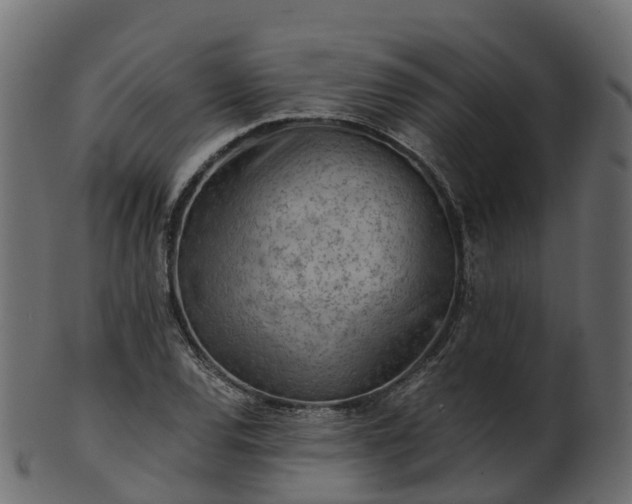 X0000101111120200807031733