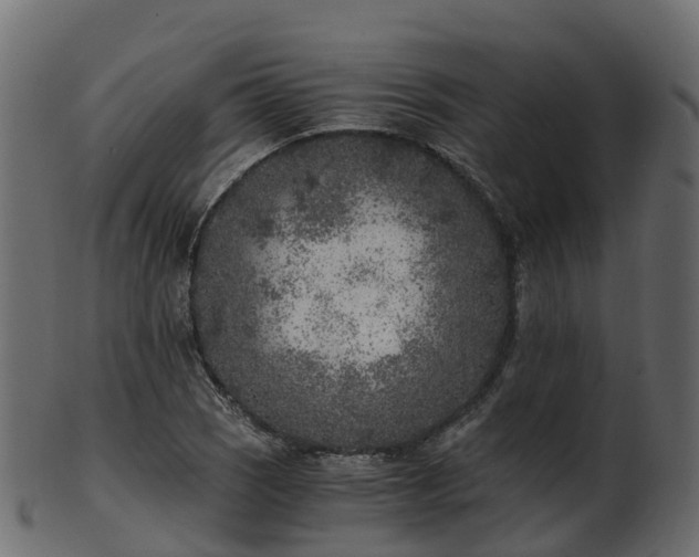 X0000101111121200807031733