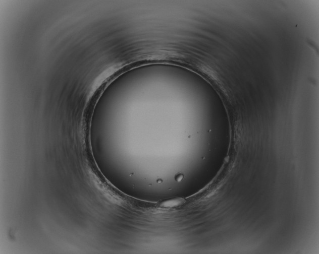 X0000101111122200807031733