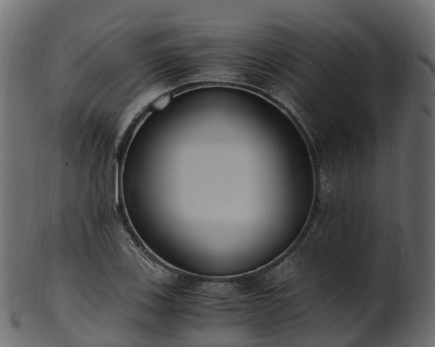 X0000101111123200807031733