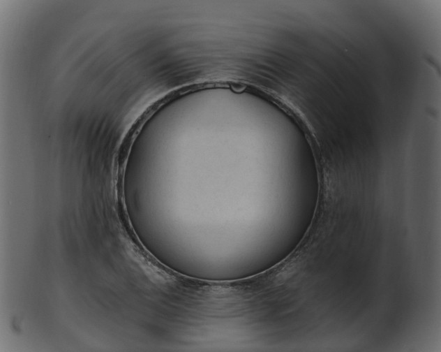 X0000101111124200807031733