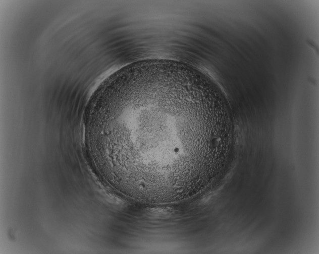 X0000101111125200807031733