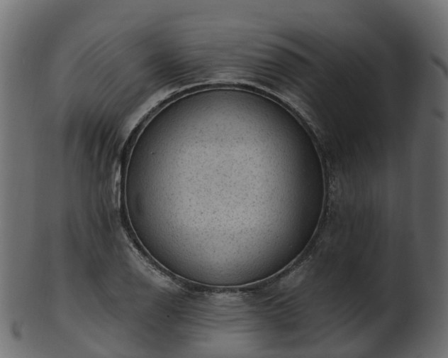 X0000101111126200807031733