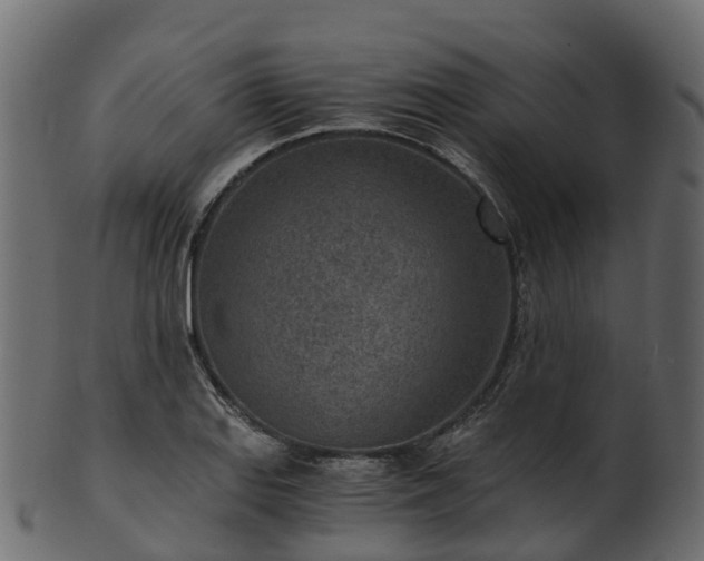 X0000101111127200807031733