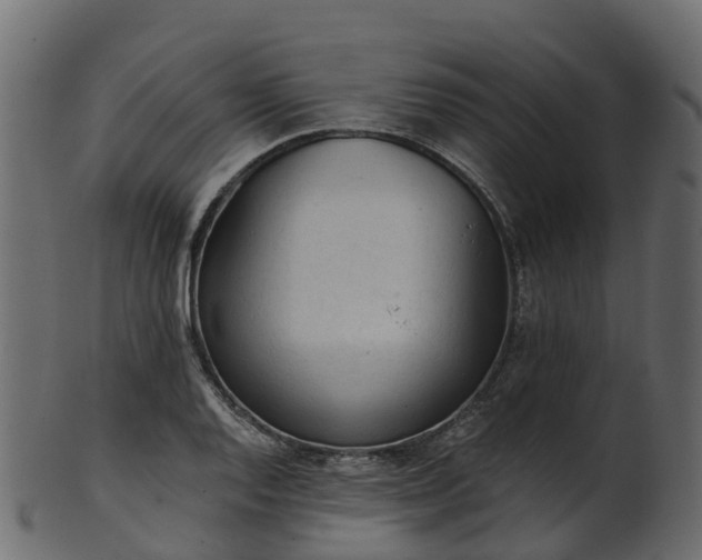 X0000101111128200807031733