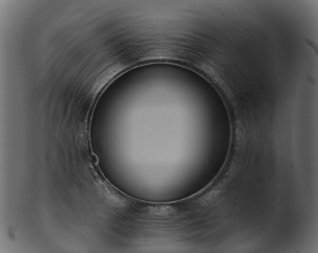 X0000101111129200807031733