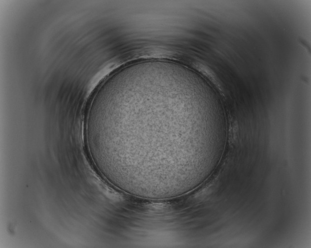 X0000101111130200807031733