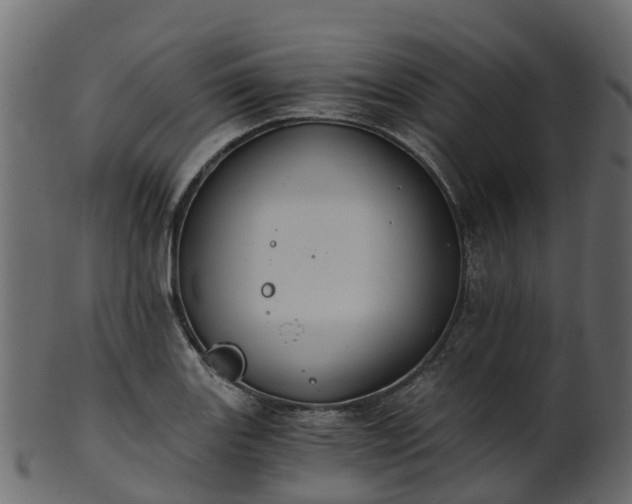 X0000101111131200807031733