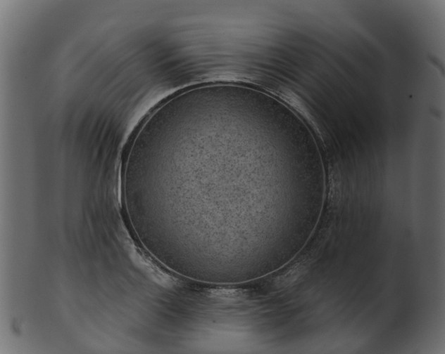 X0000101111132200807031733