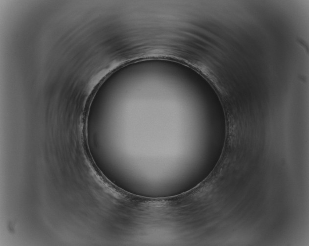 X0000101111134200807031733