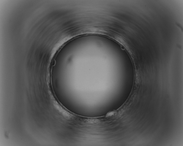 X0000101111136200807031733