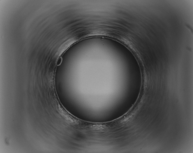 X0000101111137200807031733