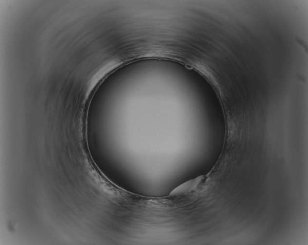 X0000101111138200807031733