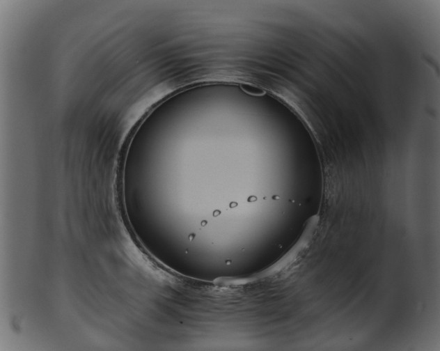 X0000101111139200807031733