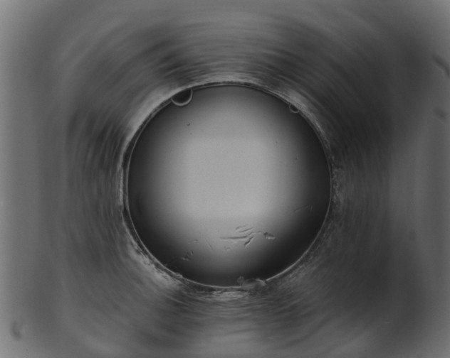 X0000101111140200807031733