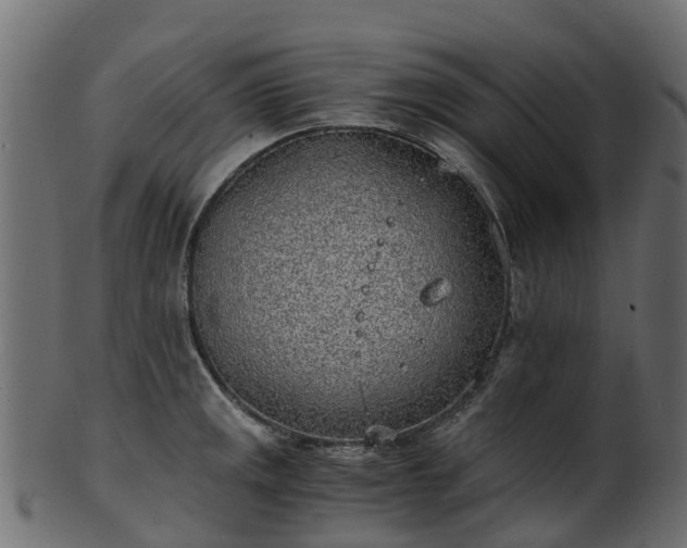 X0000101111141200807031733