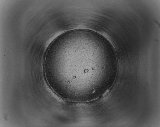 X0000101111142200807031733