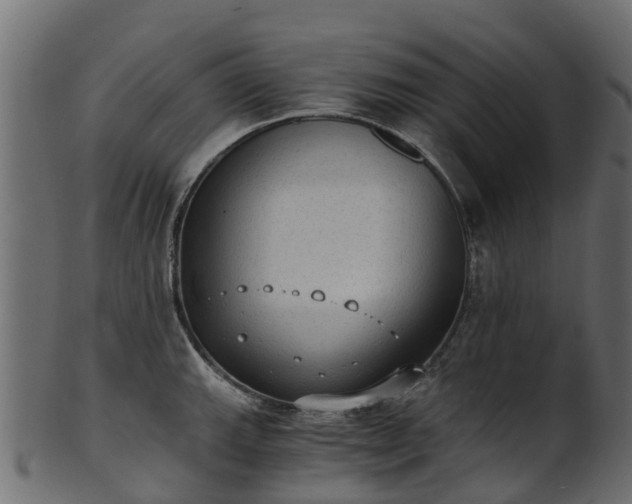 X0000101111143200807031733