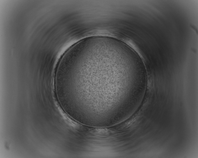 X0000101111144200807031733