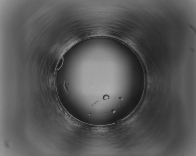 X0000101111145200807031733