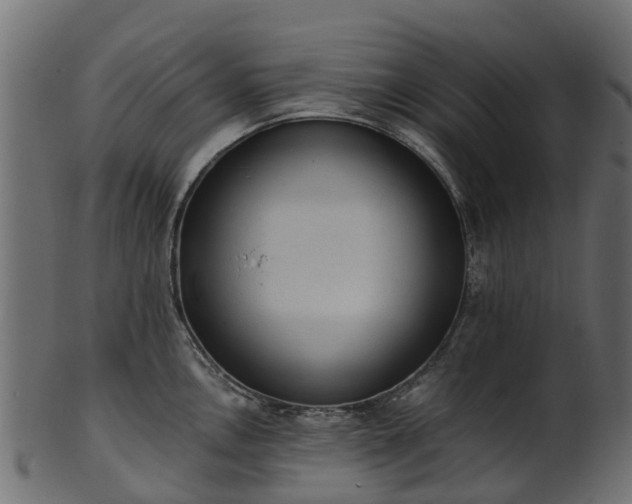 X0000101111146200807031733