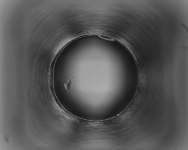 X0000101111147200807031733