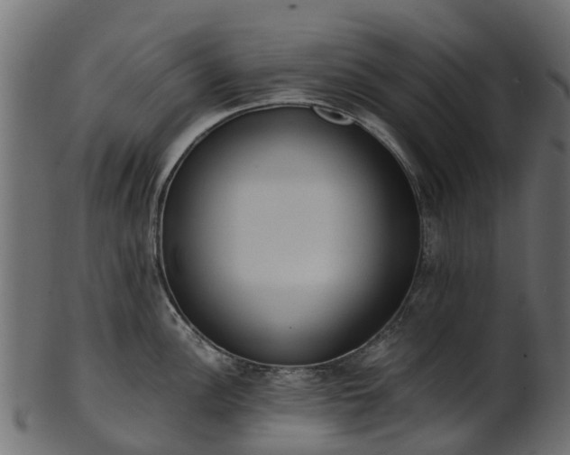 X0000101111148200807031733